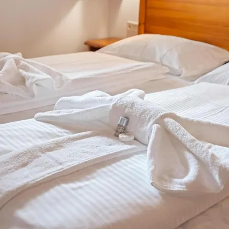 2205 Kanzelhoehe * تريفن