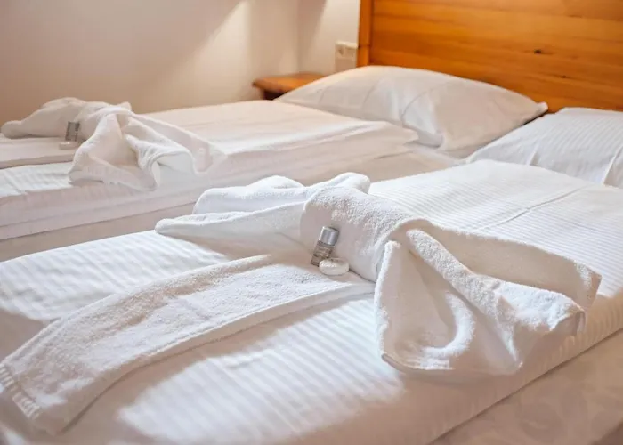 2205 Kanzelhoehe * Treffen